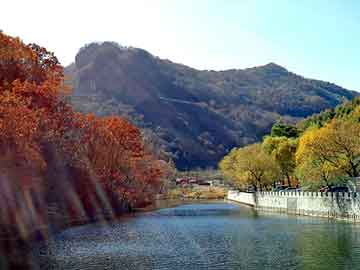 数据洞察 第4页